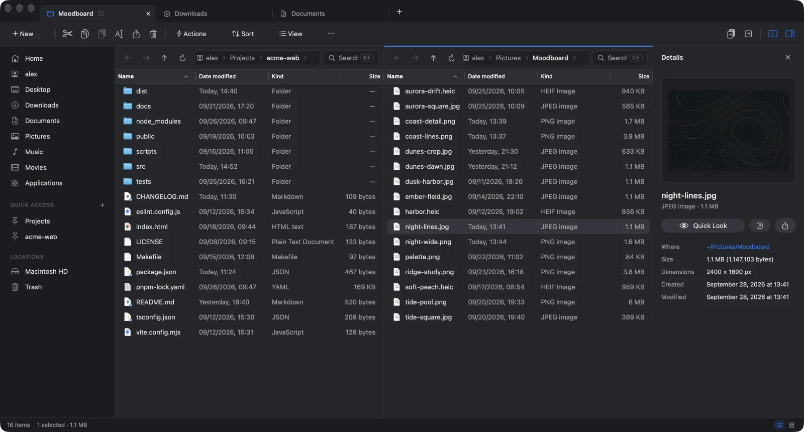 MacScout with two panes: a web project on the left, a folder of images on the right, and the details panel showing the selected image.